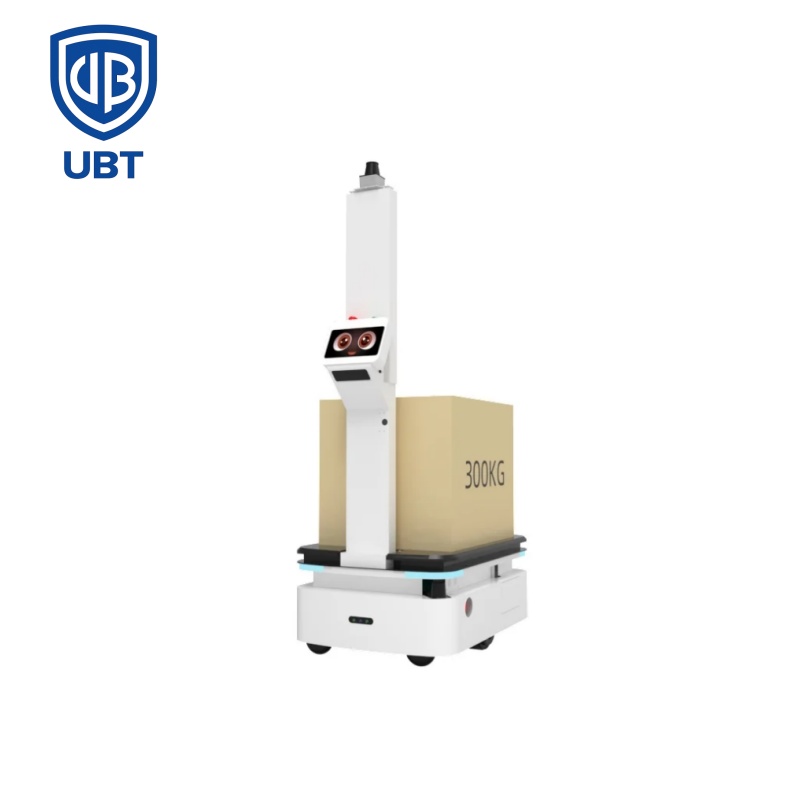 Dual LIDAR Fly Boat Delivery Robot